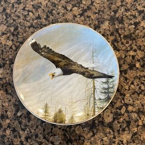 Audubon Bald Eagle Decor Porcelain Plate